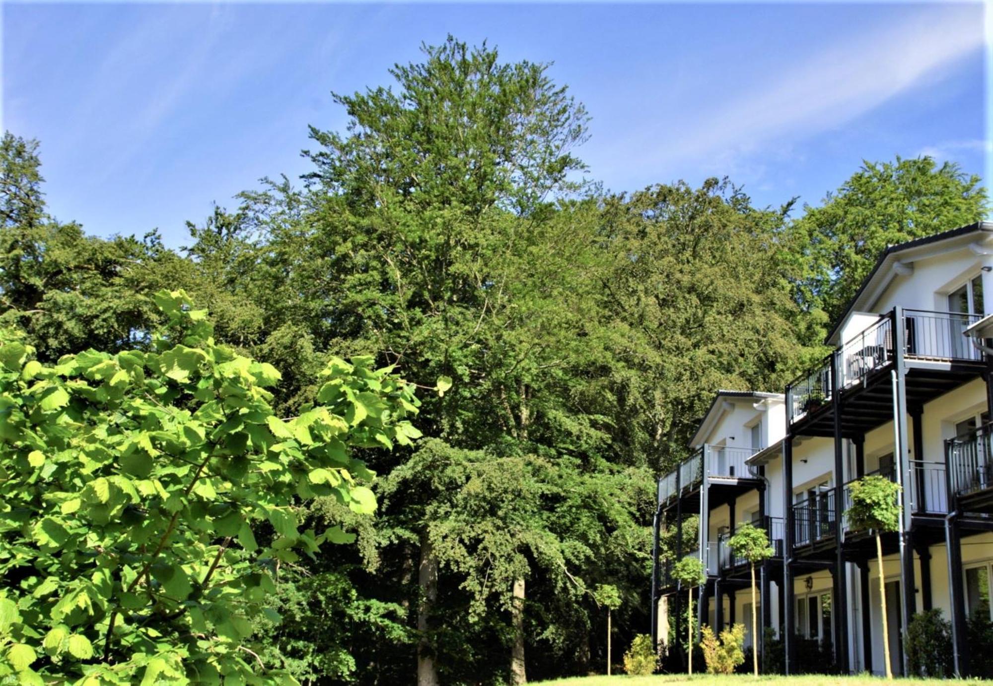 Ferienwohnung Waldperle Sellin  Exterior foto